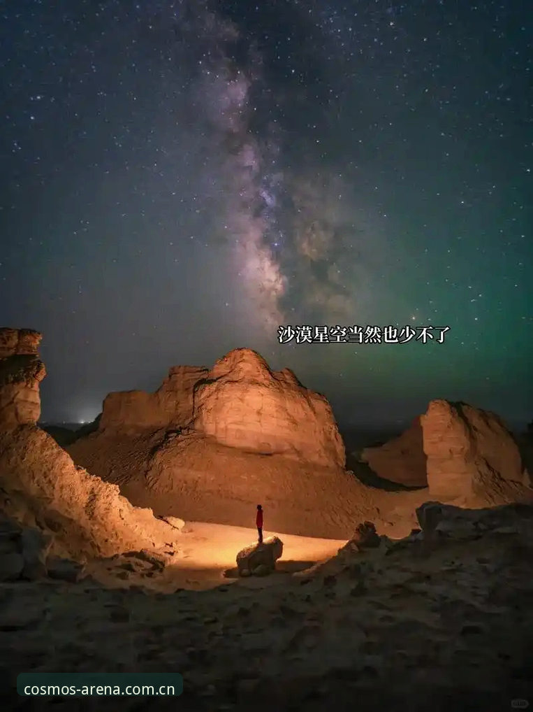 资深用户分享：星空体育官网入口的实战使用心得与V3版本体验